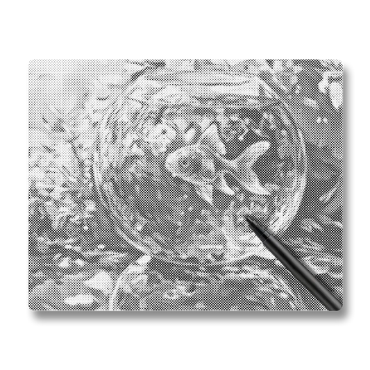 Poisson rouge - Peinture à Points