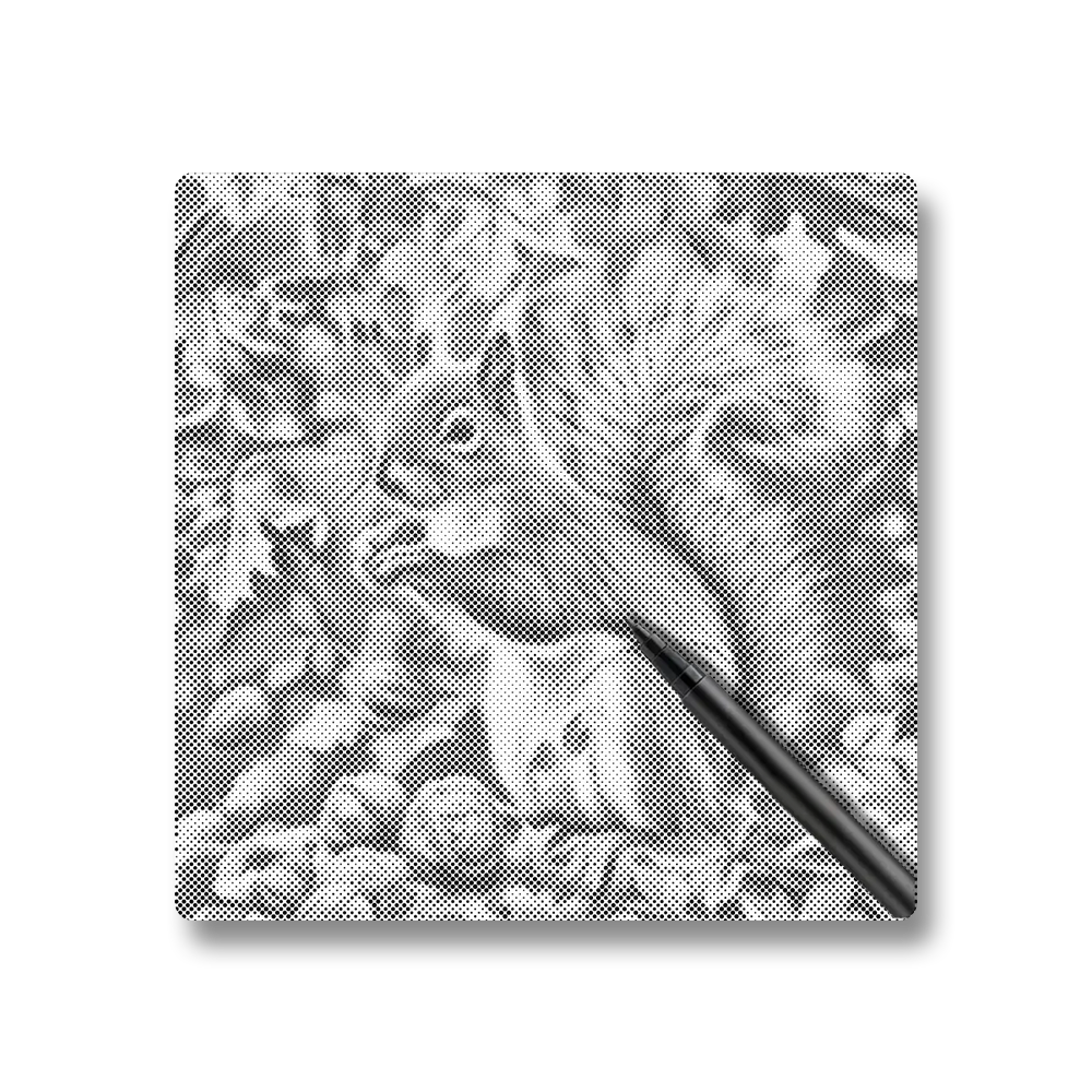 Écureuil dans les feuilles d'automne - Peinture à Points