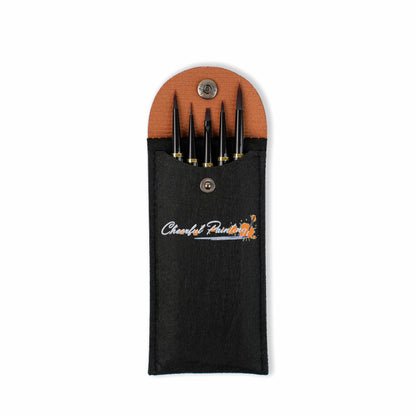 Pinceau professionnel amovible