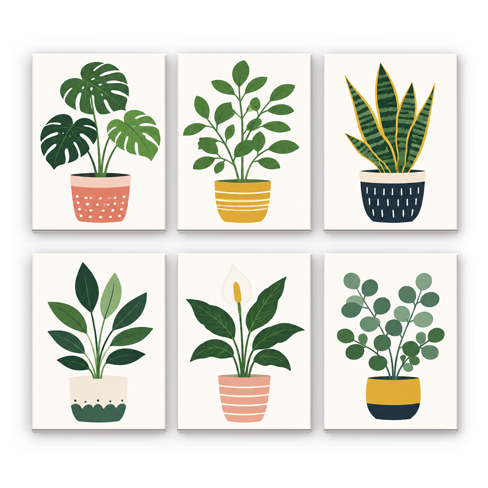Plantes en pot